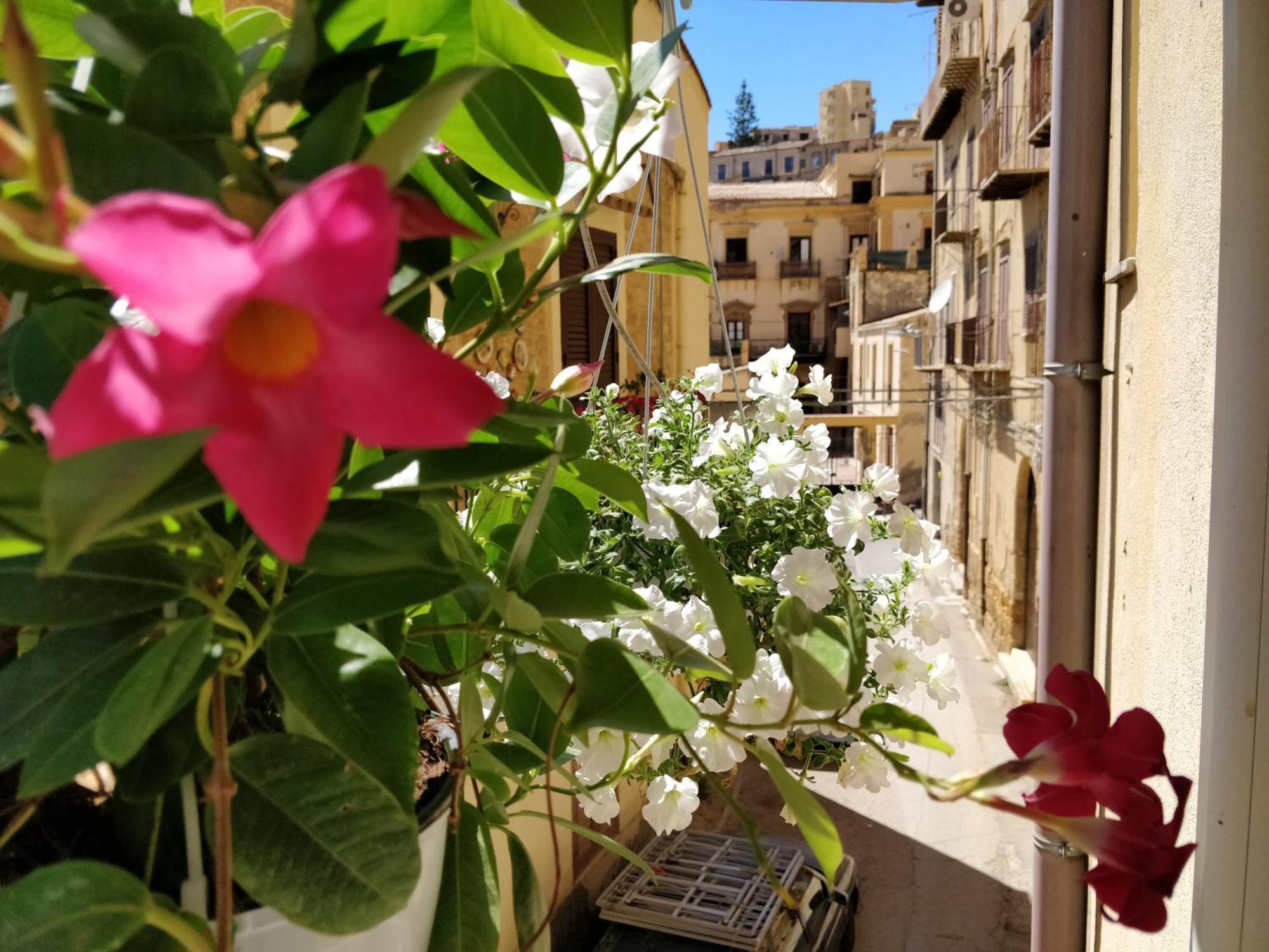Camera Matrimoniale/Doppia con Letti Singoli con Balcone