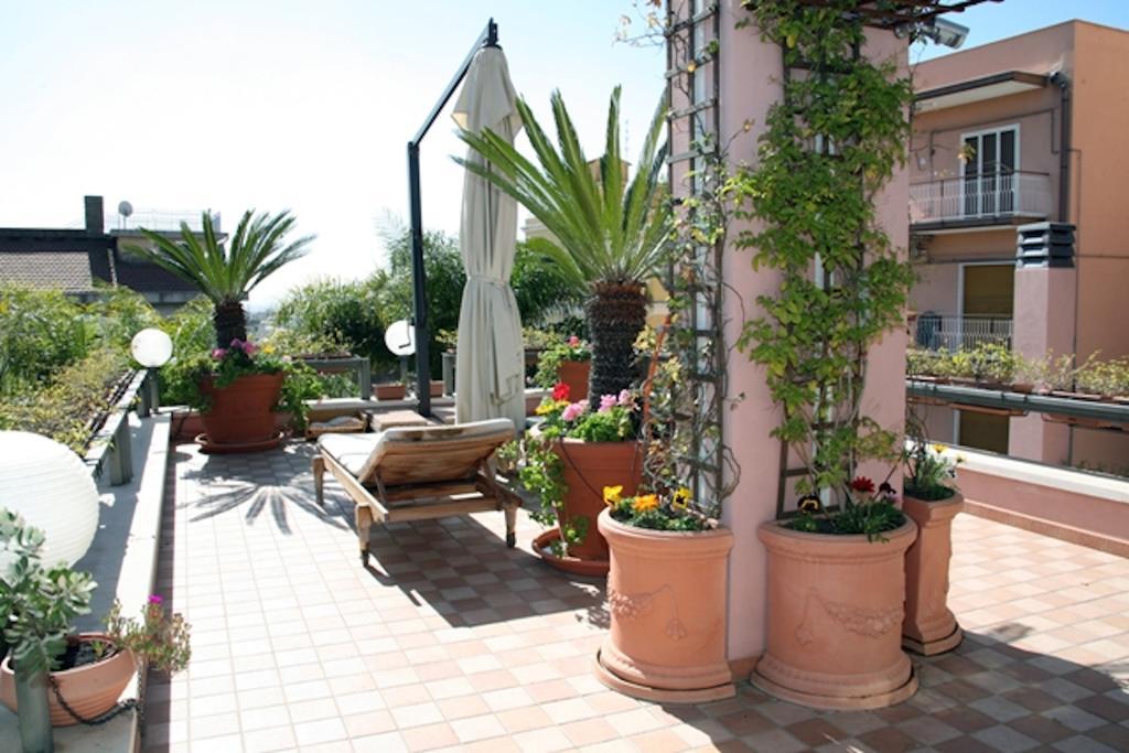 Suite con terraza