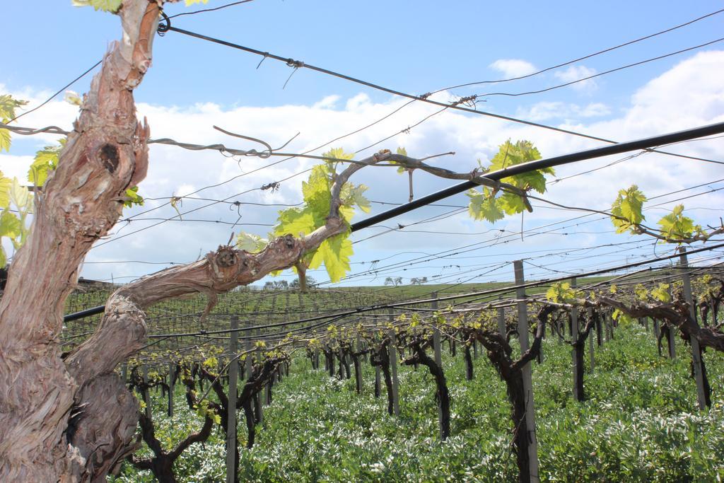 Standard Double Room,219355178:JPEG