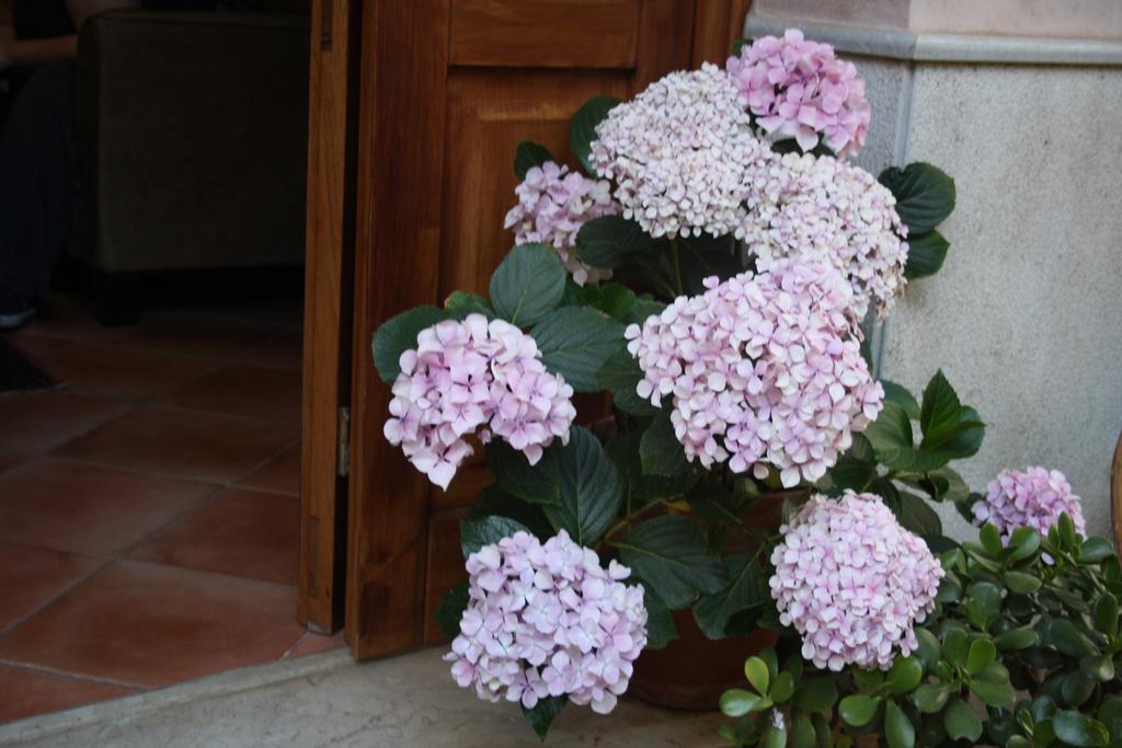 Double Room with Extra Beds (4 Adults),698504808:JPEG