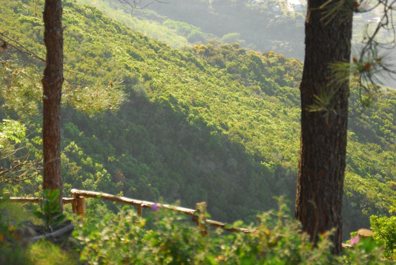 Single Room,835065068:JPEG