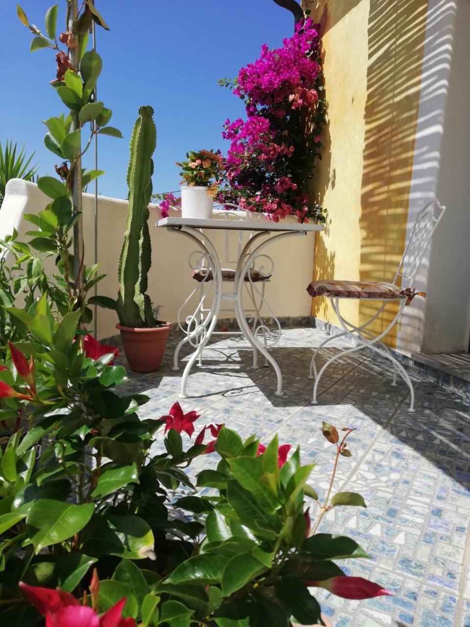 Double Room with Terrace