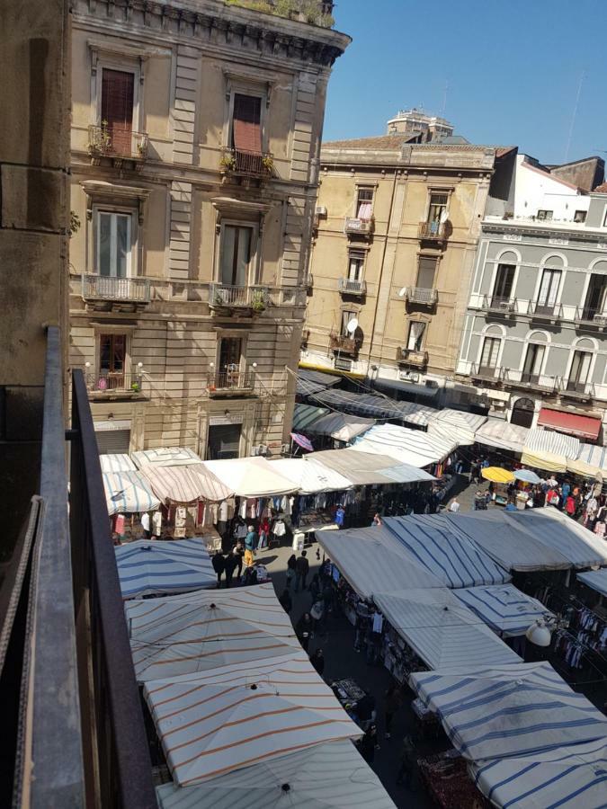 Estudio con terraza