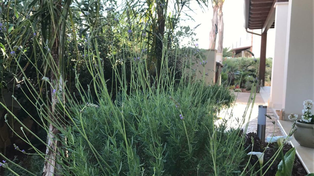 Doppelzimmer mit Terrasse