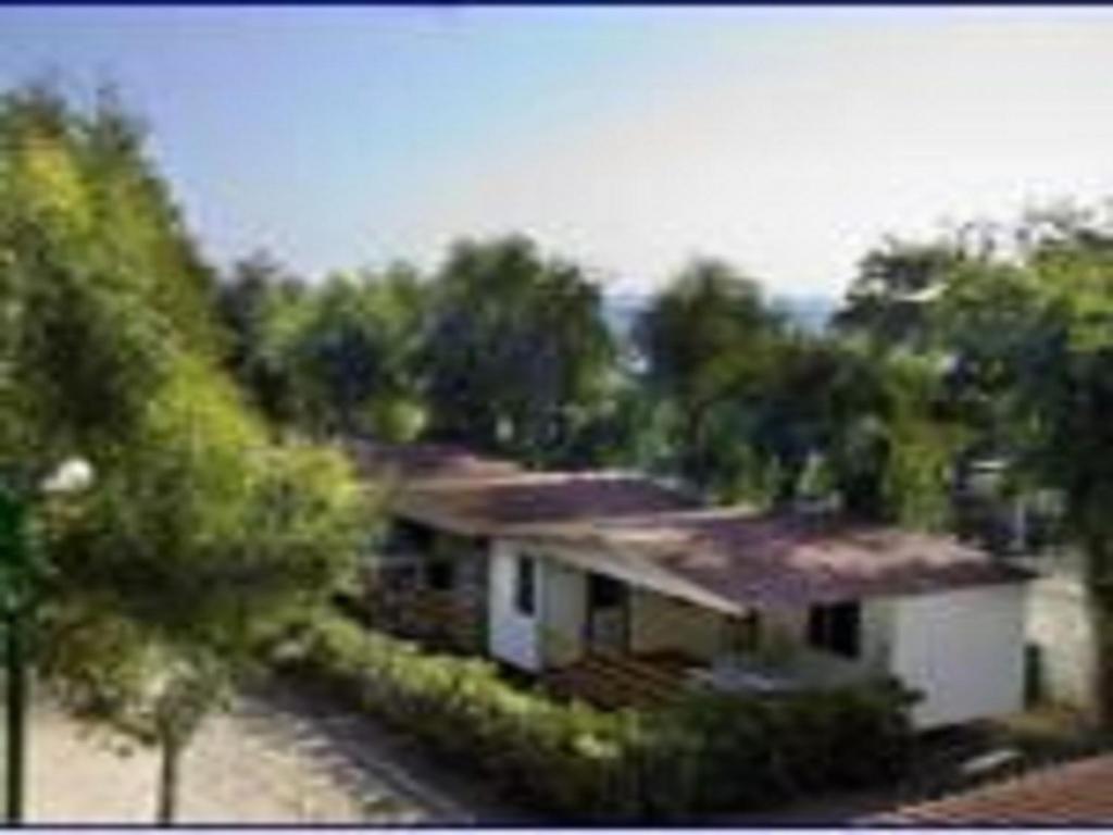Mobile Home (6 Adults)