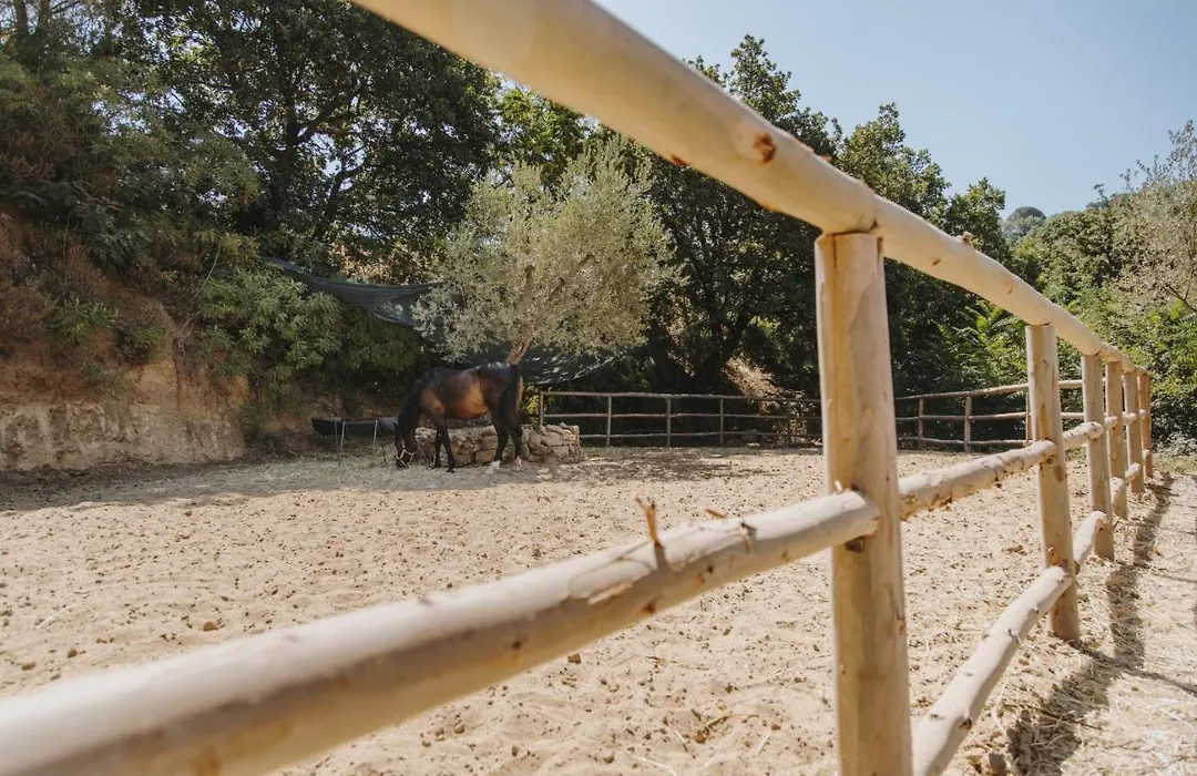 Leano Agriresort-1