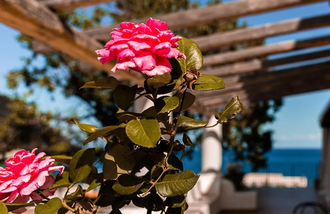 Villa Grazia Lipari-1