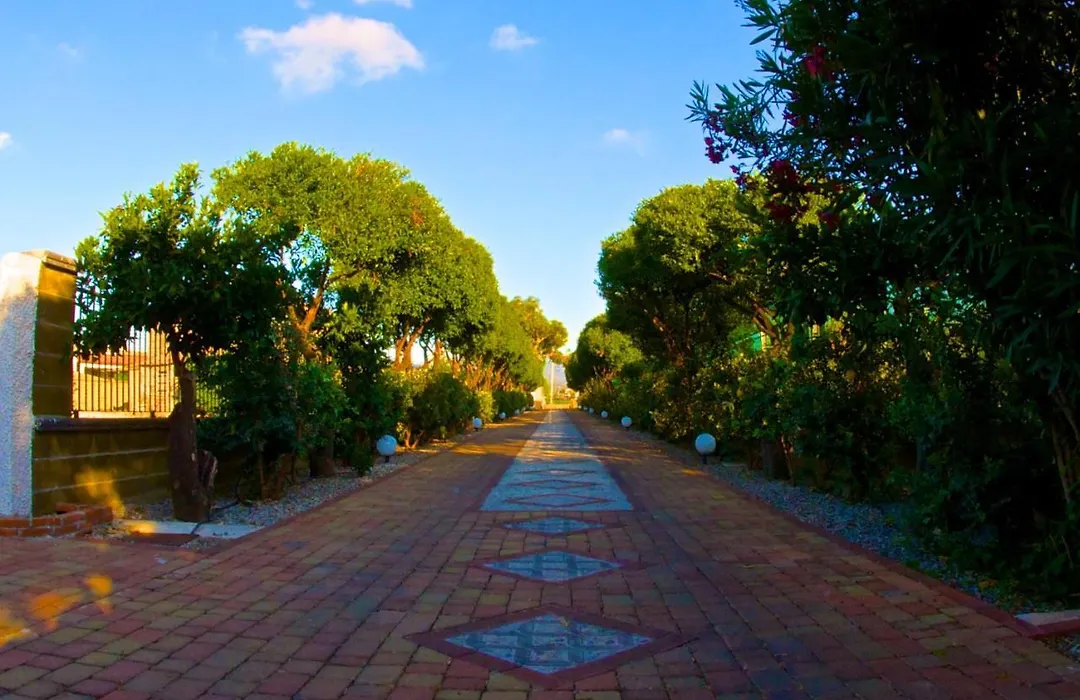 Villa Alba-1