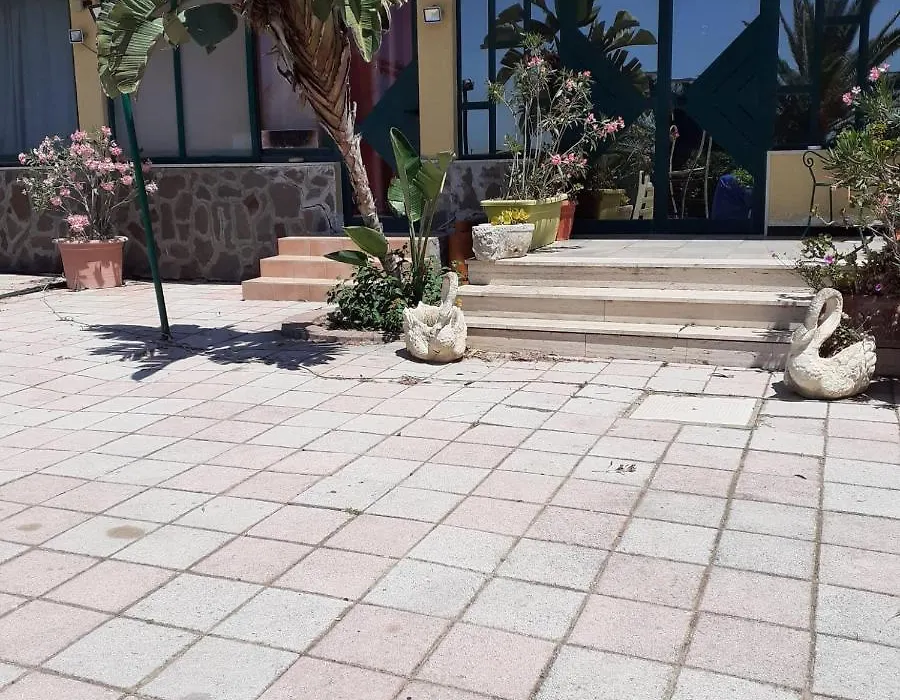 Le Palme Casa Vacanze-1