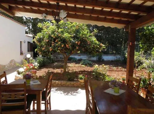 B&B Poliglotta-1