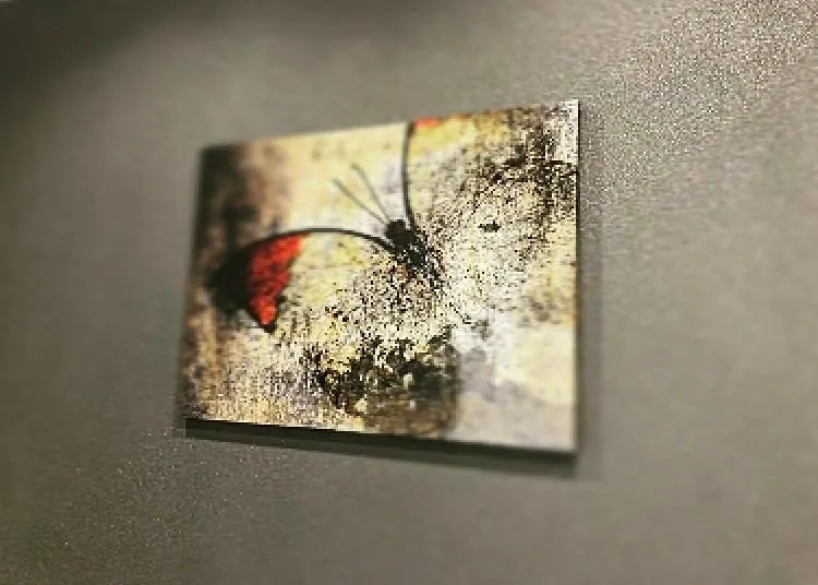 La Farfalla-1