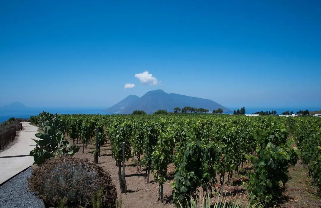 Tenuta Di Castellaro Winery & Resort-1