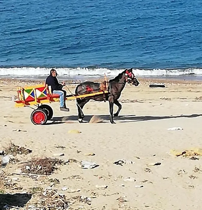 Casa Di Mare-1