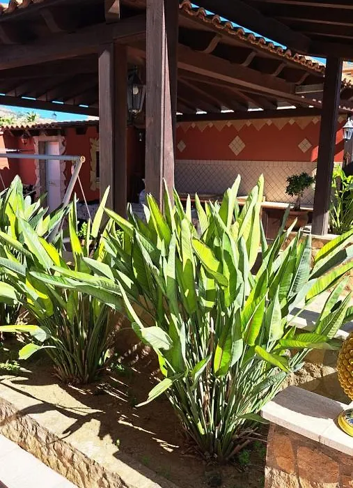 B&B Calogero-1