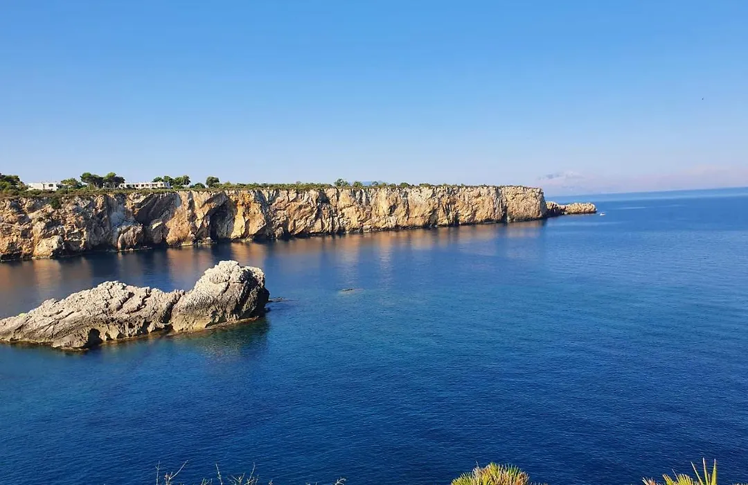 Posidonia B&B-1