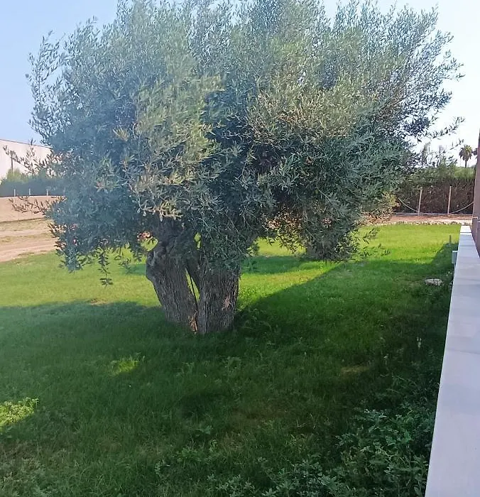 Il Cappero Bed And Breakfast-1