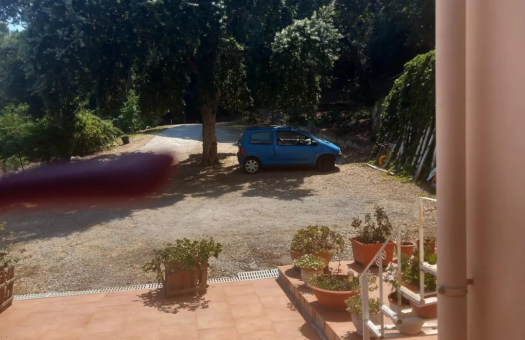 Alba Tra I Pini B&B-1