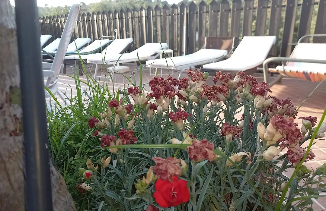 Bed&breakfast Il Castello-1