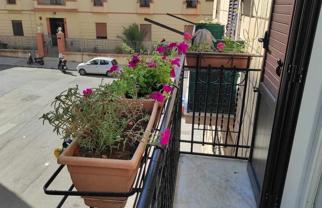 D'Aragona Guest House-1