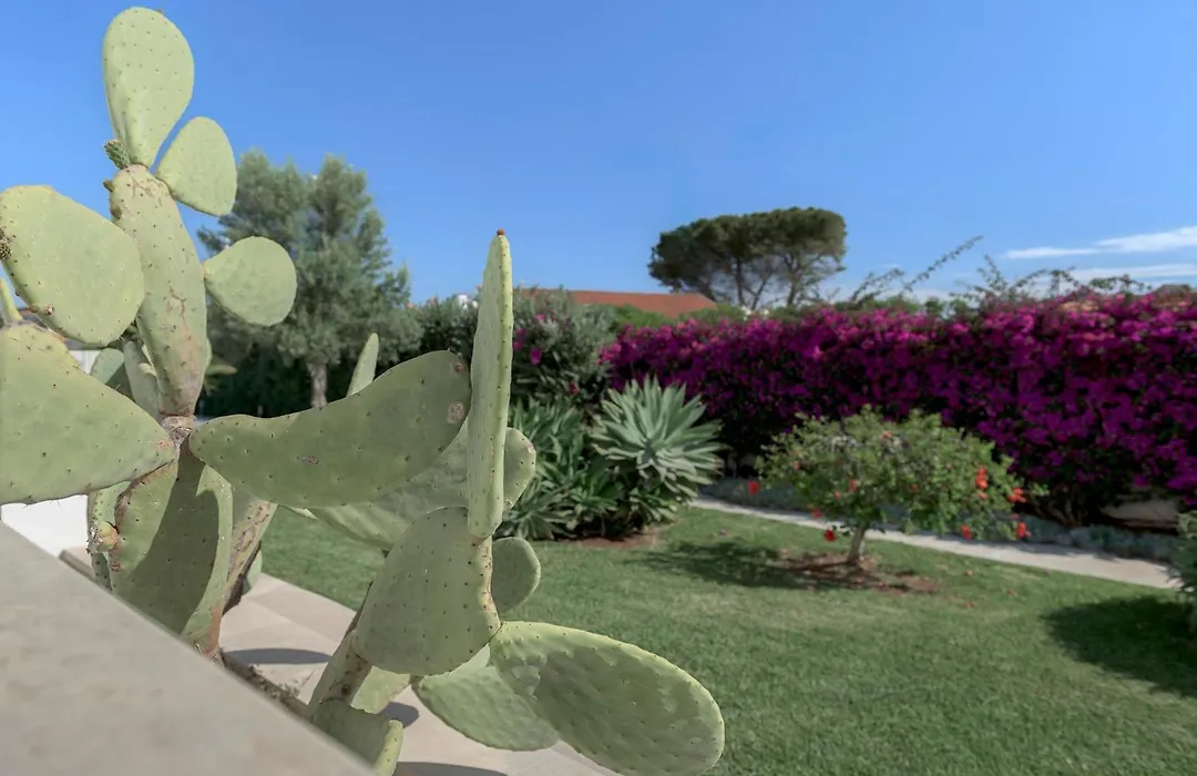 Lm7 Luxury Villa Sicily-1