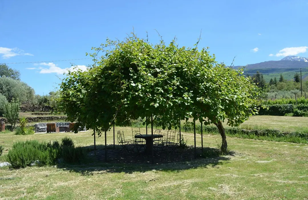 Villa VEDA-1