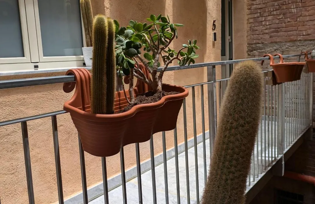 Casa Vella Apartment-1