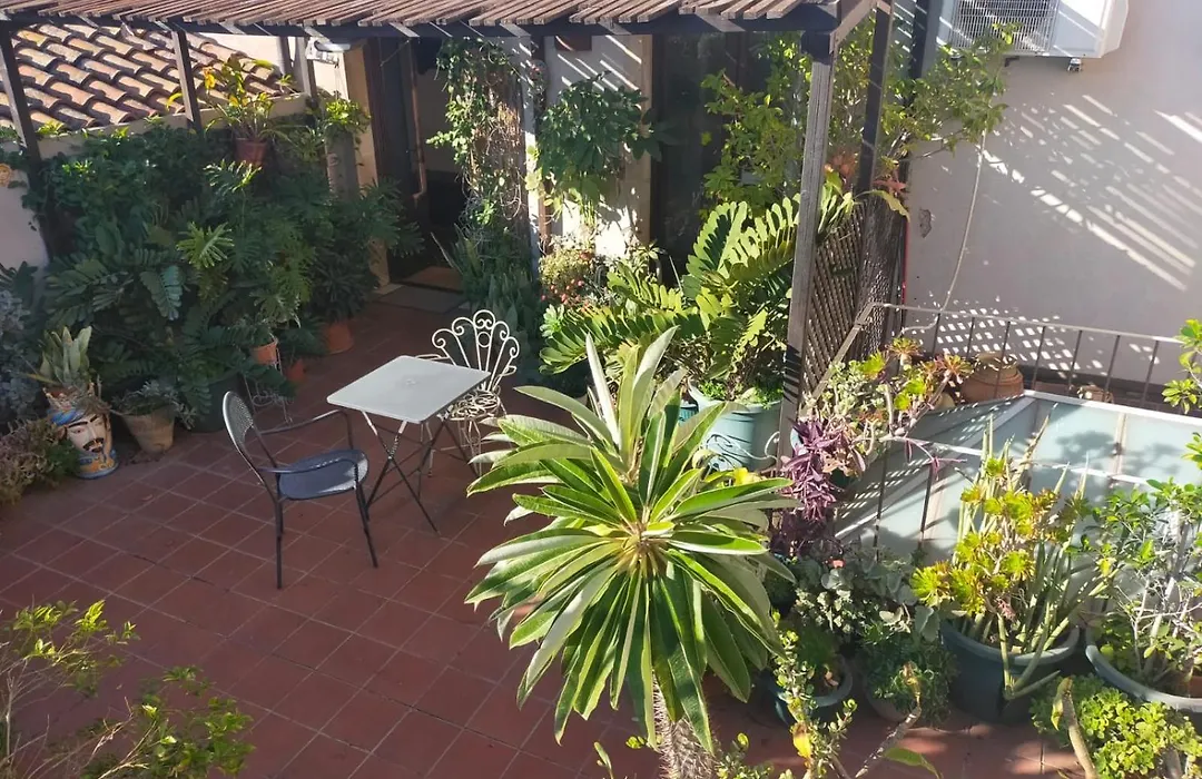 Crociferi B&B-1