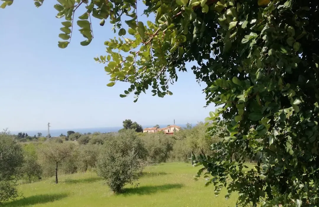 Il Casale il Sole e la Margherita-1
