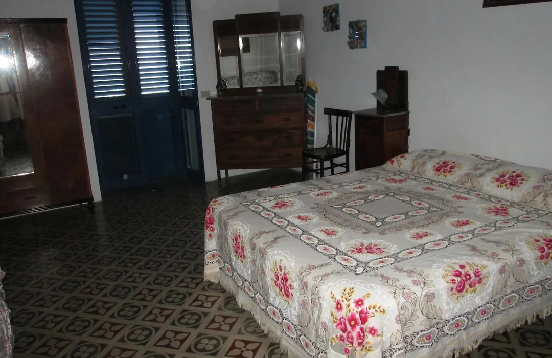 Pomelia-1