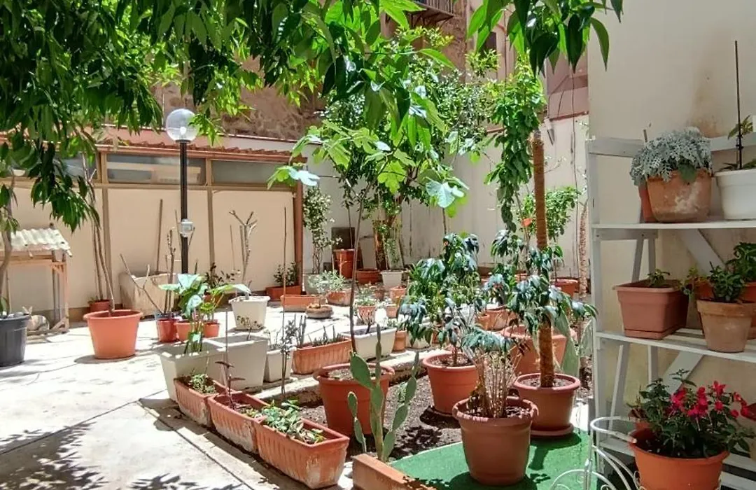 Tati'S Garden-1