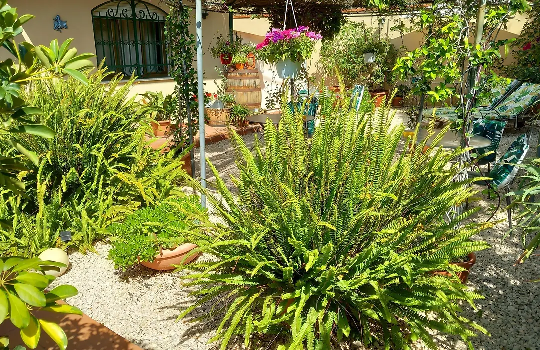 Bed&Breakfast Rosangela-1