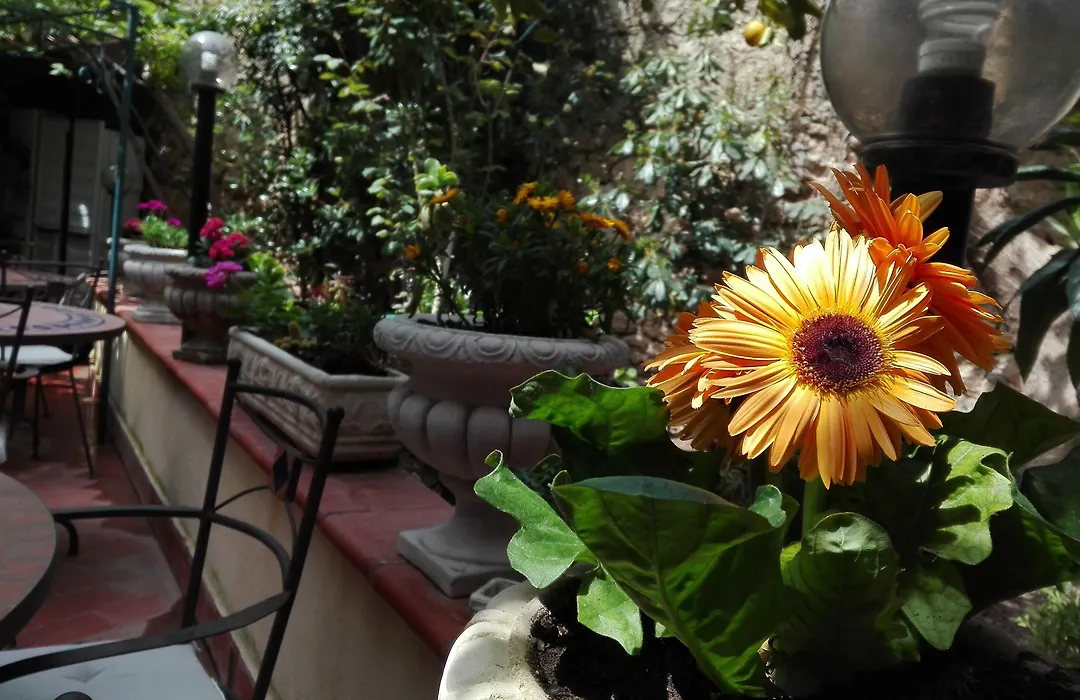 Montevergini B&B Centro Barocco-1