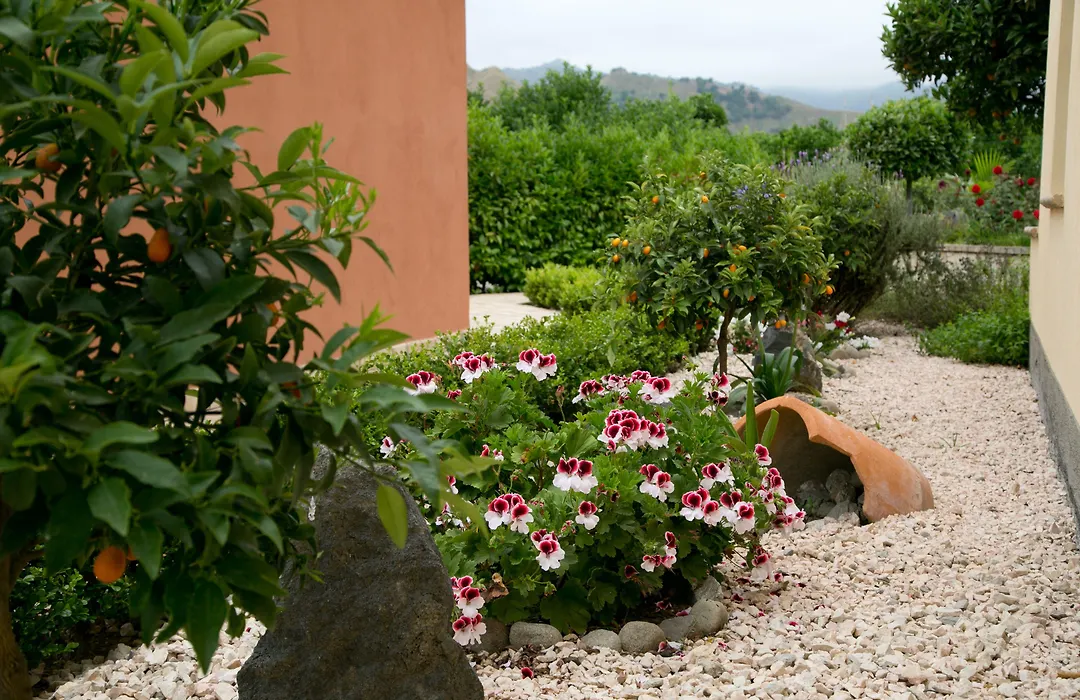B&B Villa Valentina-1