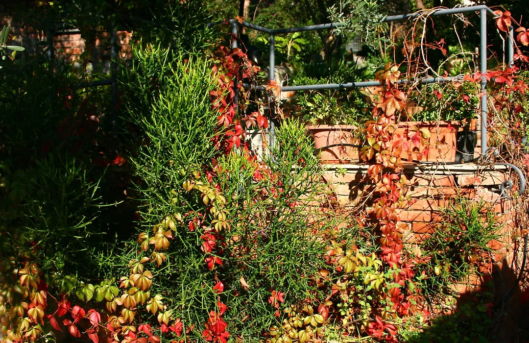 Pupi Catania Etna B&B - #viaggiosiciliano-1
