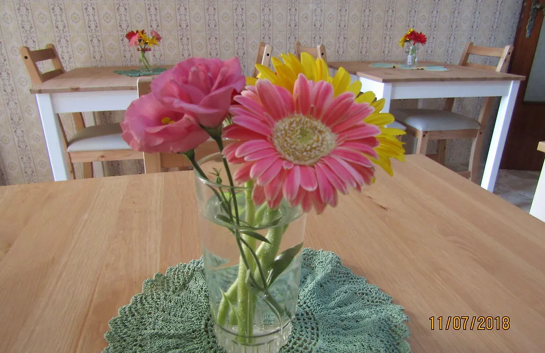 Tilde B&B-1