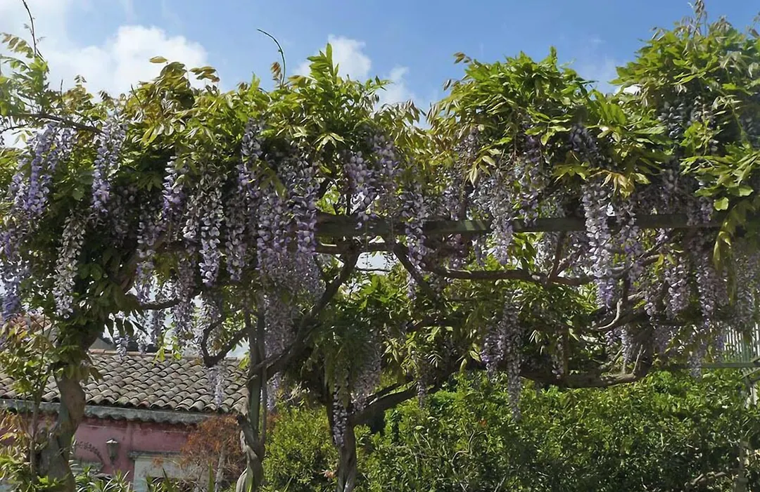 Casa Velardi-1
