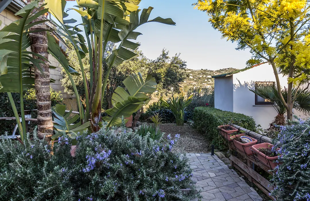 B&B Eyexei Domus-1