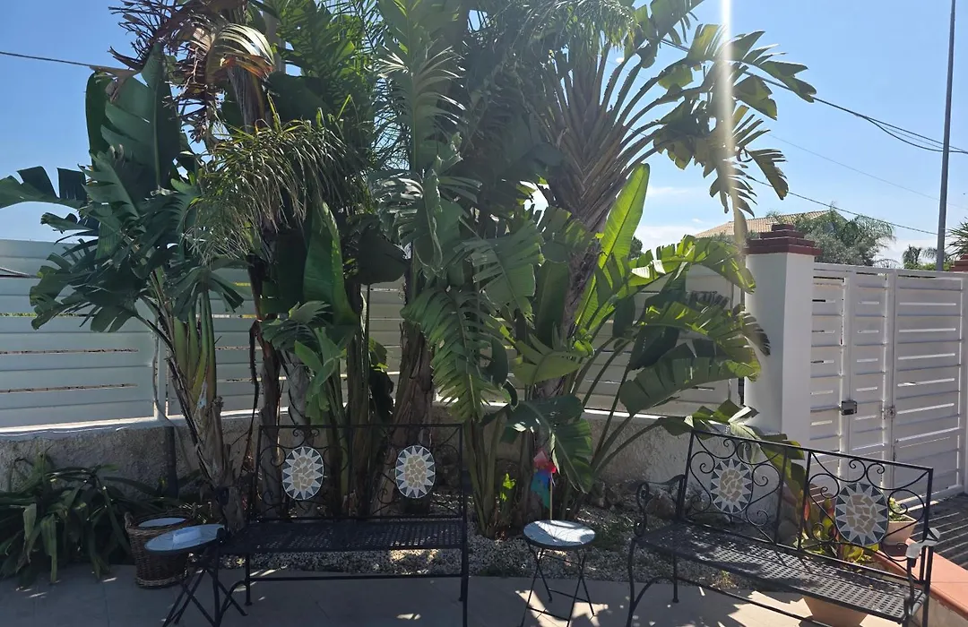 Villa Anna B&B-1