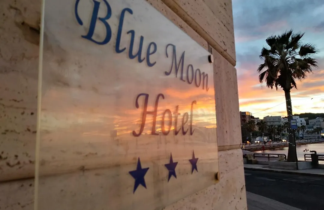 Blue Moon Hotel-1