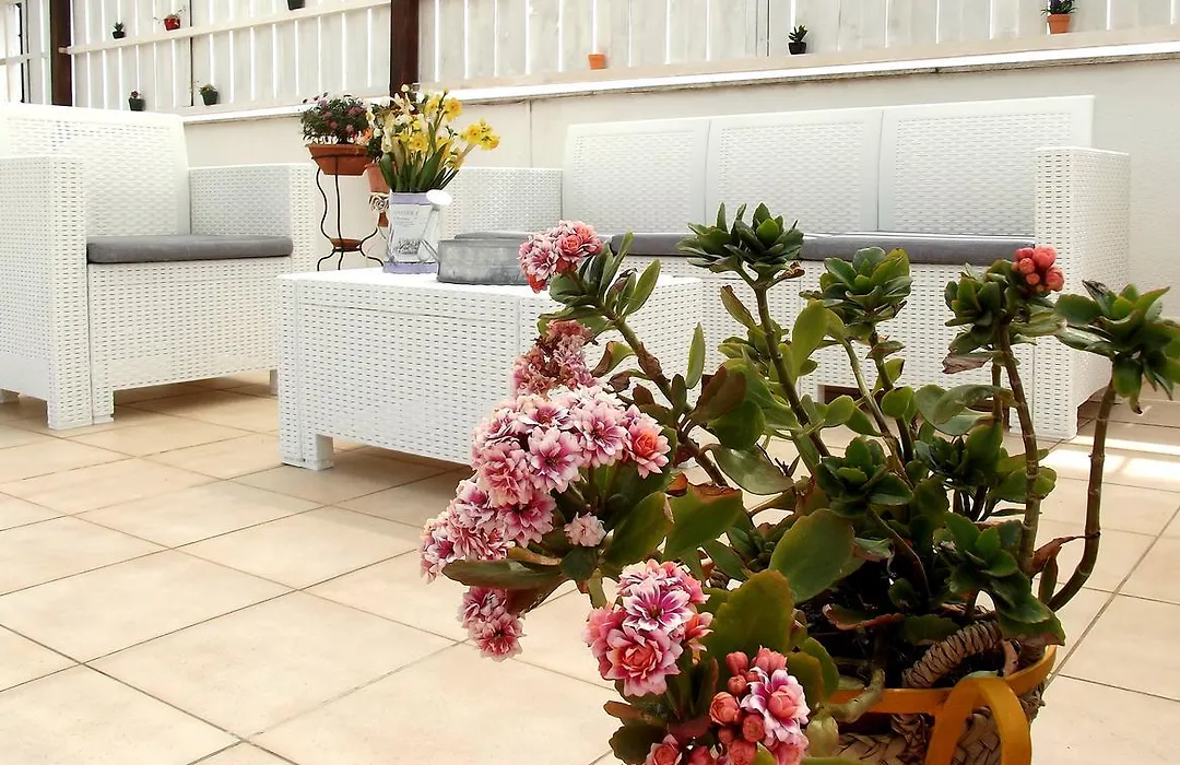 La Terrazza Di Agrigento-1