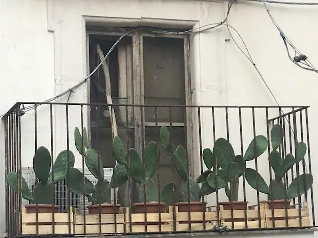 Casa Gisira-1