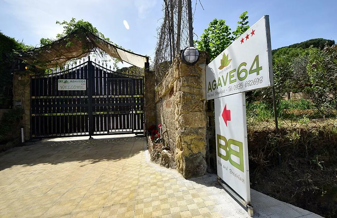 B&B Agave 64-1