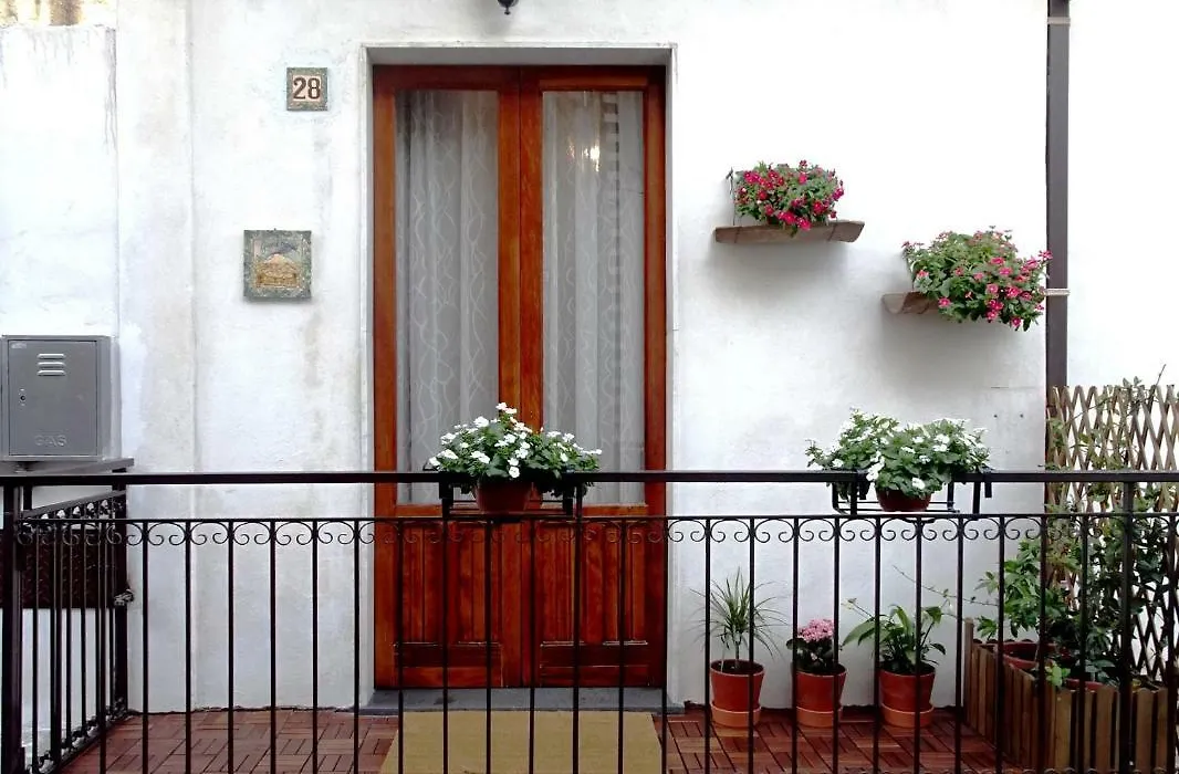 Guest House Le ginestre dell'Etna-1