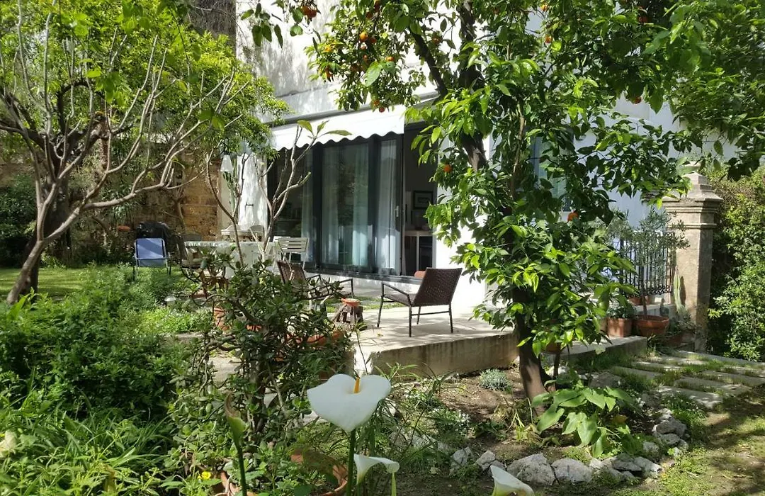 Nel Giardino Degli Agrumi-1