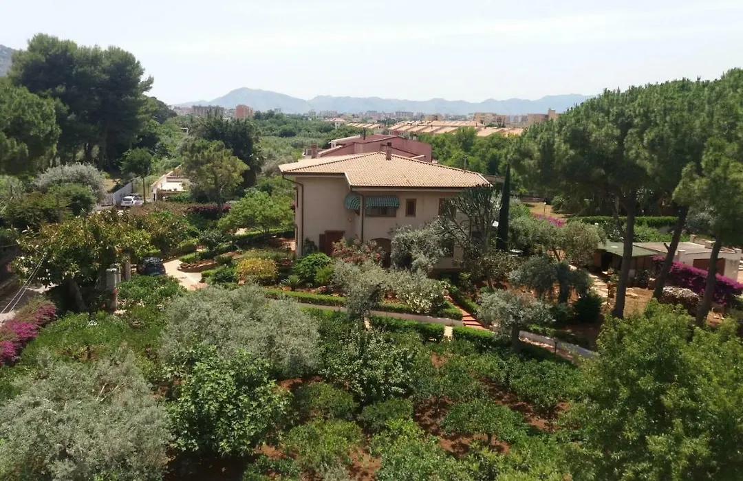 Green Garden 2017-1