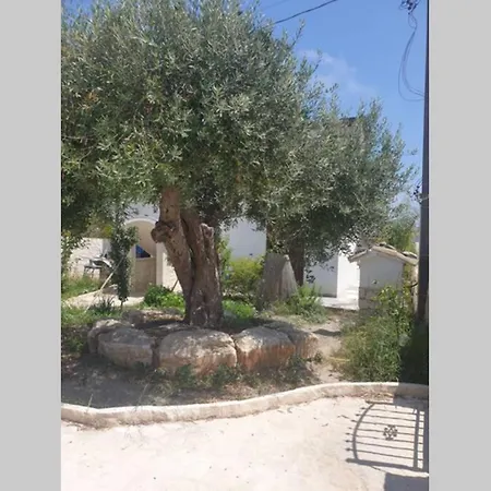 Grazioso appartamento di fronte al mare-2
