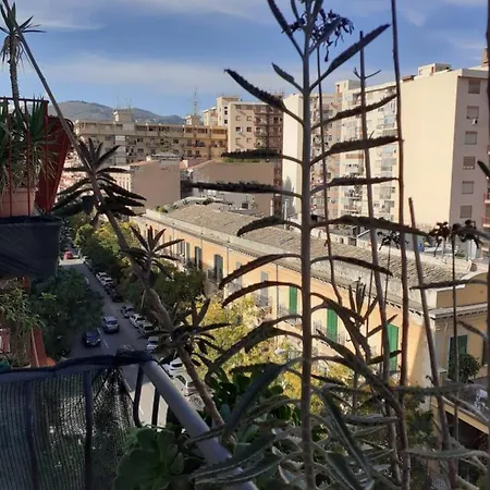 Bbx Palermo-2