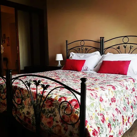 Acanthus B&B-3
