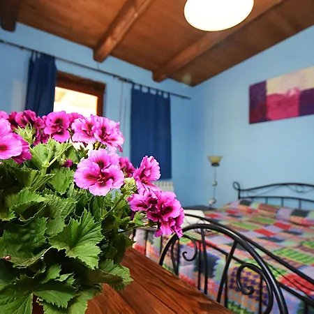 B&B Giucalem - La Casa Negli Orti-3