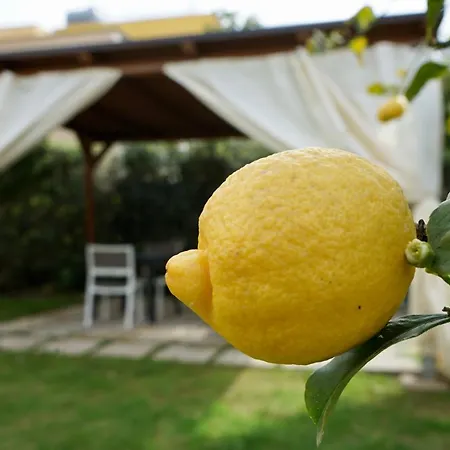 B&B Milena-2